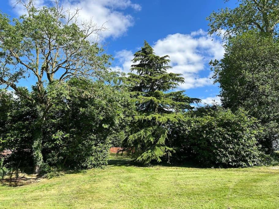 Gite Au Haras La Belle Emanville Bagian luar foto